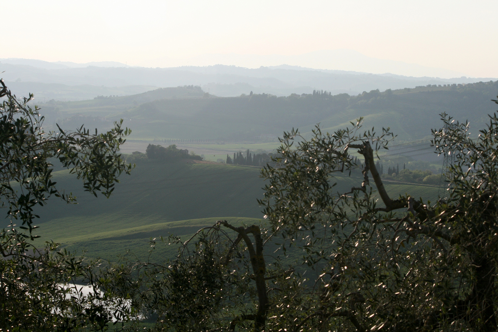 bei Castelfiorentino