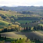 bei Castelfiorentino: Es wird Abend