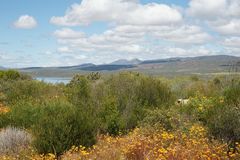 Bei Clanwilliam (3)