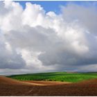 Bei Cordoba - Landschaft nach Regen