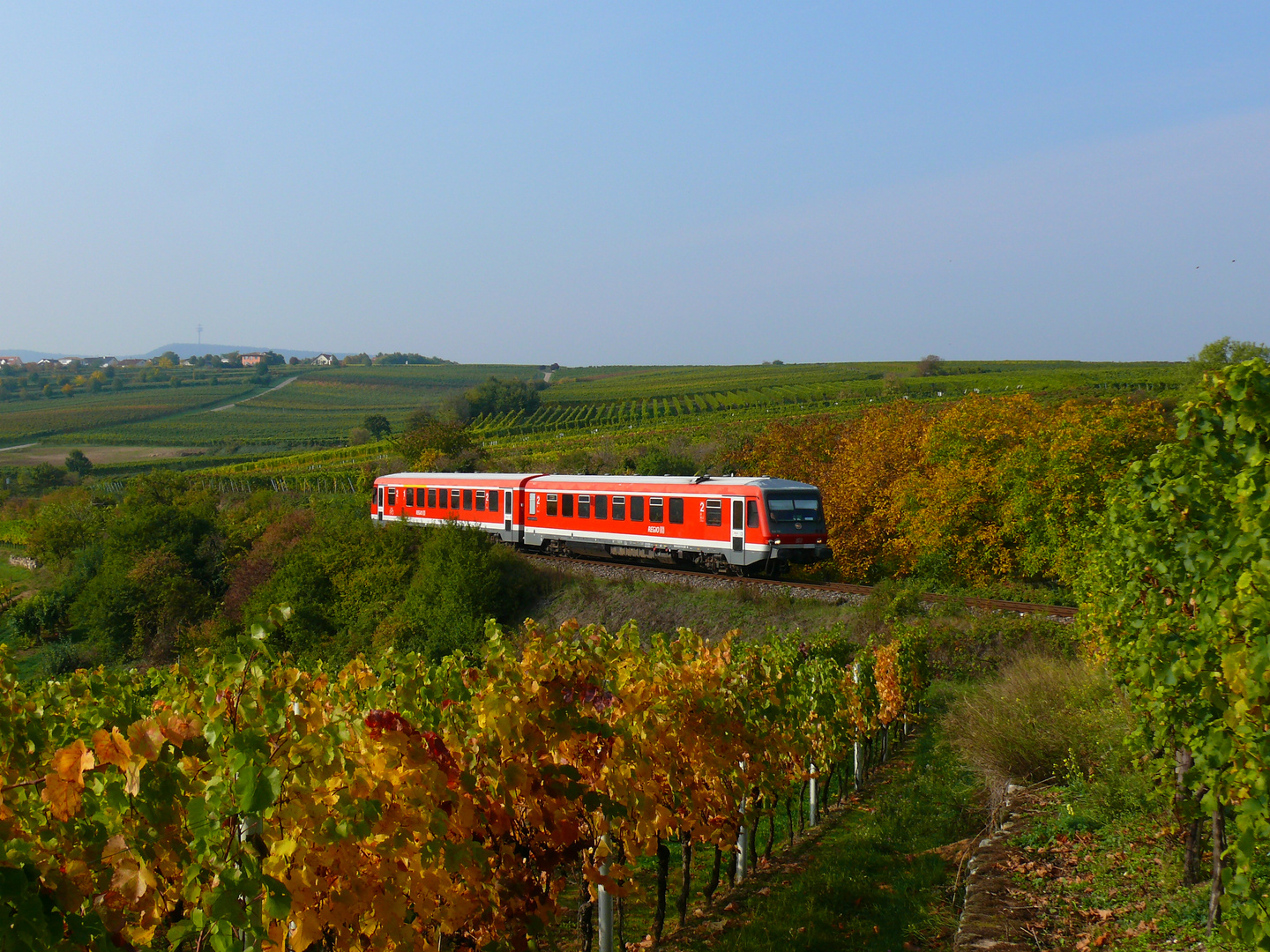 bei Dackenheim in der Vorderpfalz