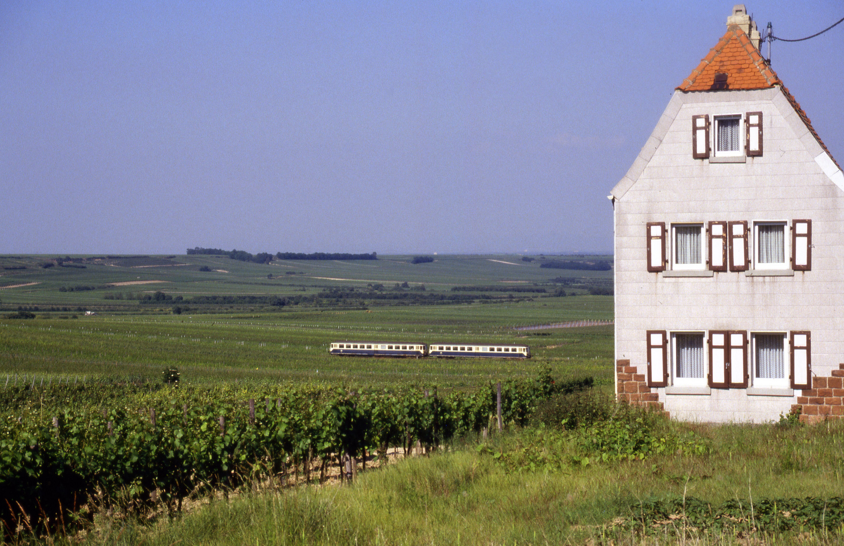 bei Dackenhem/Pfalz