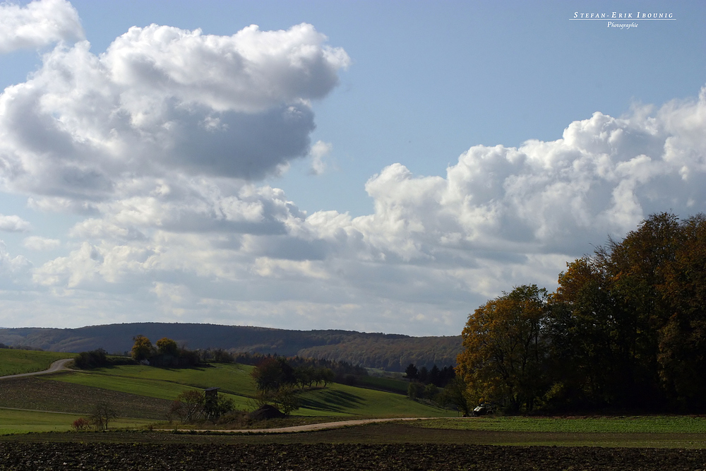 "Bei Dächingen 2"