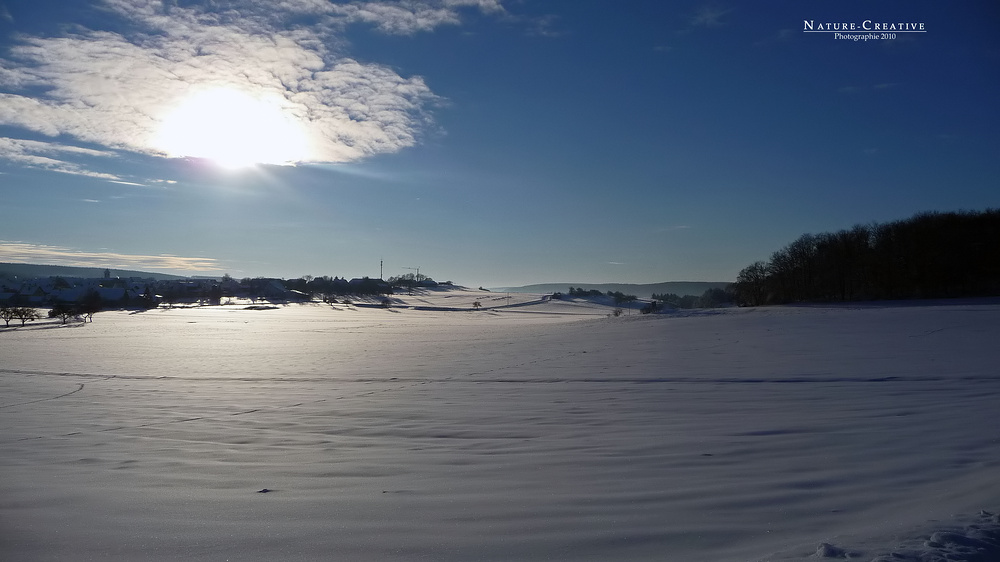 "Bei Dächingen auf der Schwäbischen Alb 1"