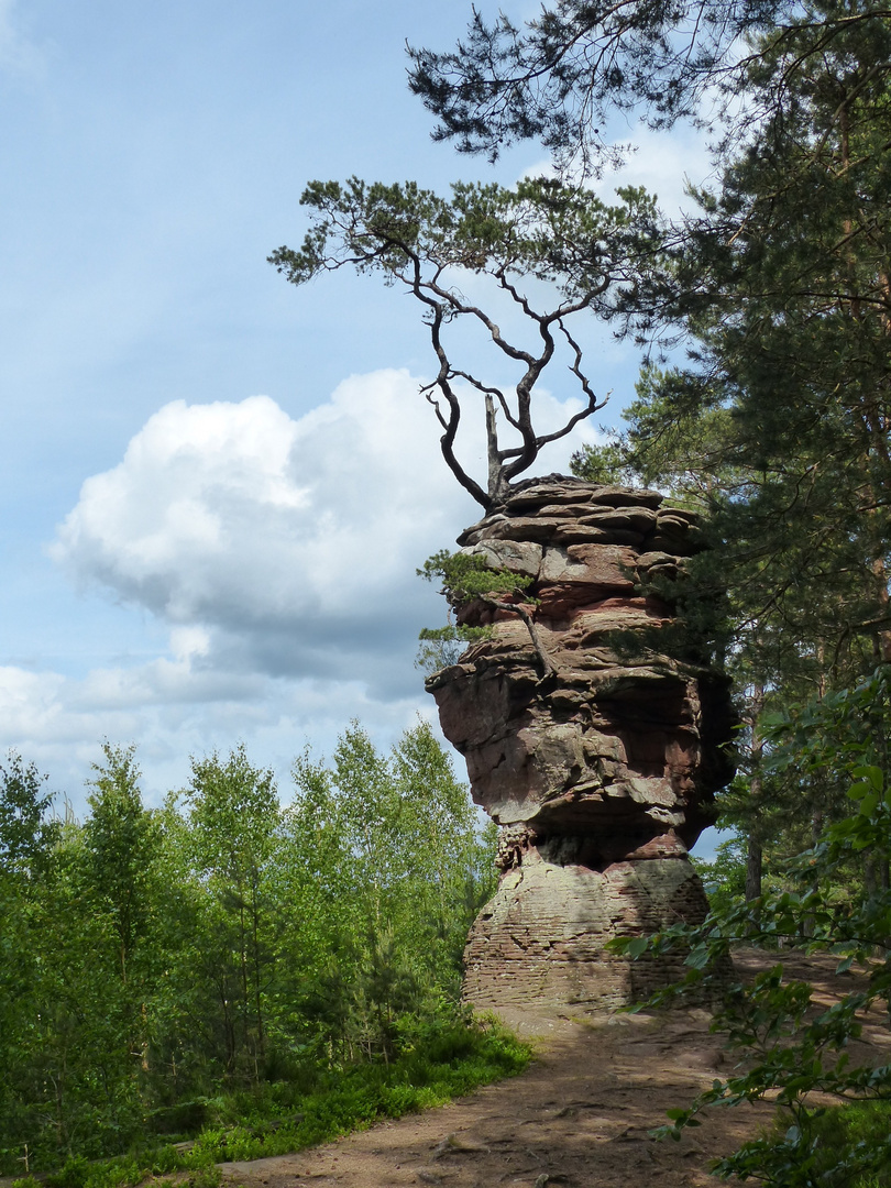 Bei Dahn, Pfalz