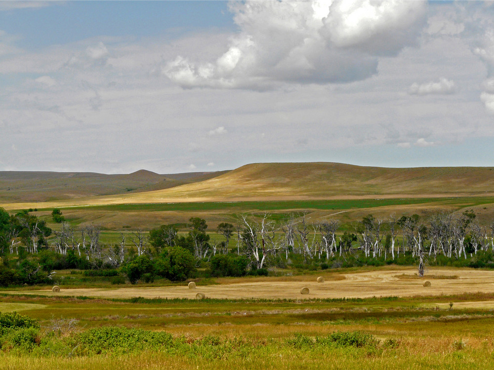 bei Dayton - Wyoming