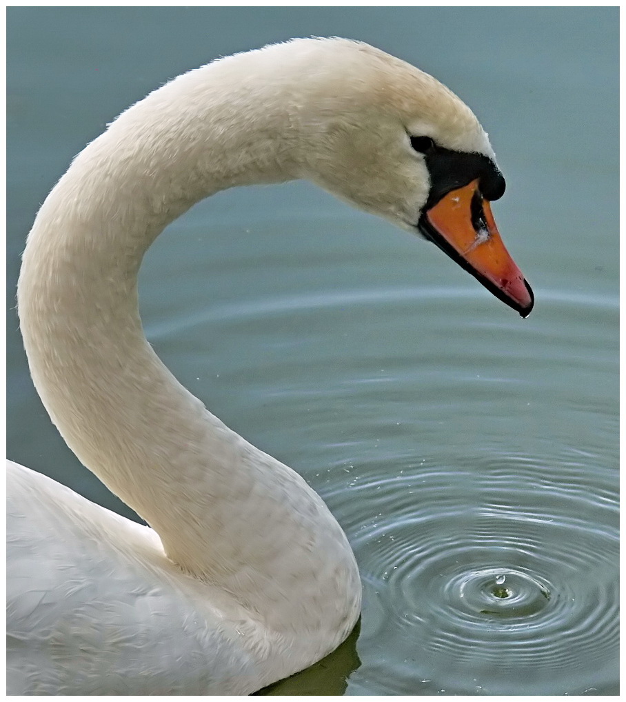 Bei dem Schei..wetter läuft mir......