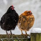 Bei dem Schietwetter