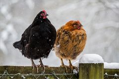 Bei dem Schietwetter