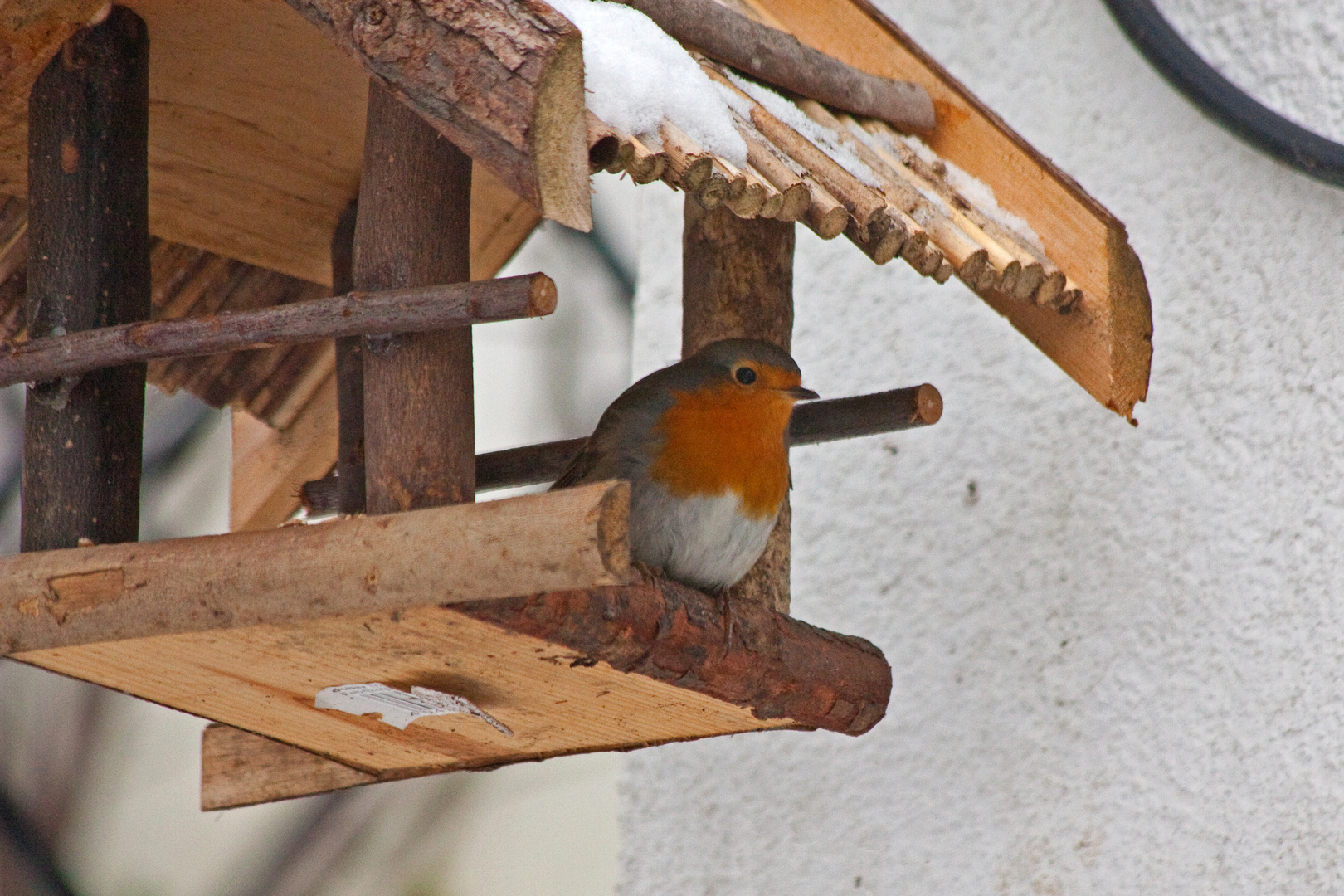 Bei dem vielen Schnee habens die Vögel nicht leicht