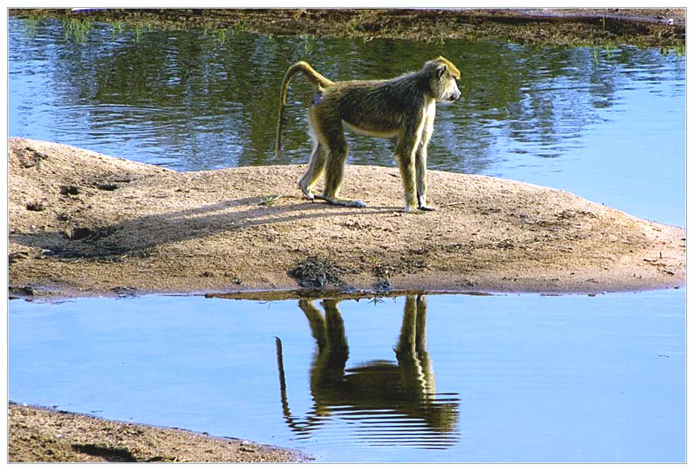 Bei dem vielen Wasser wird mir ganz schwindelig