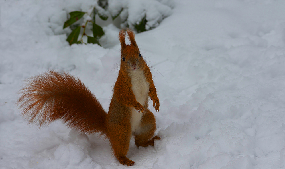 Bei dem Wetter hat der Osterhase verpennt…,