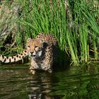 Bei dem Wetter ist es im Wasser am schönsten