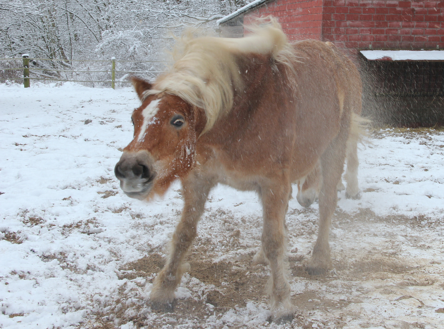 Bei dem Wetter schüttelt es mich!