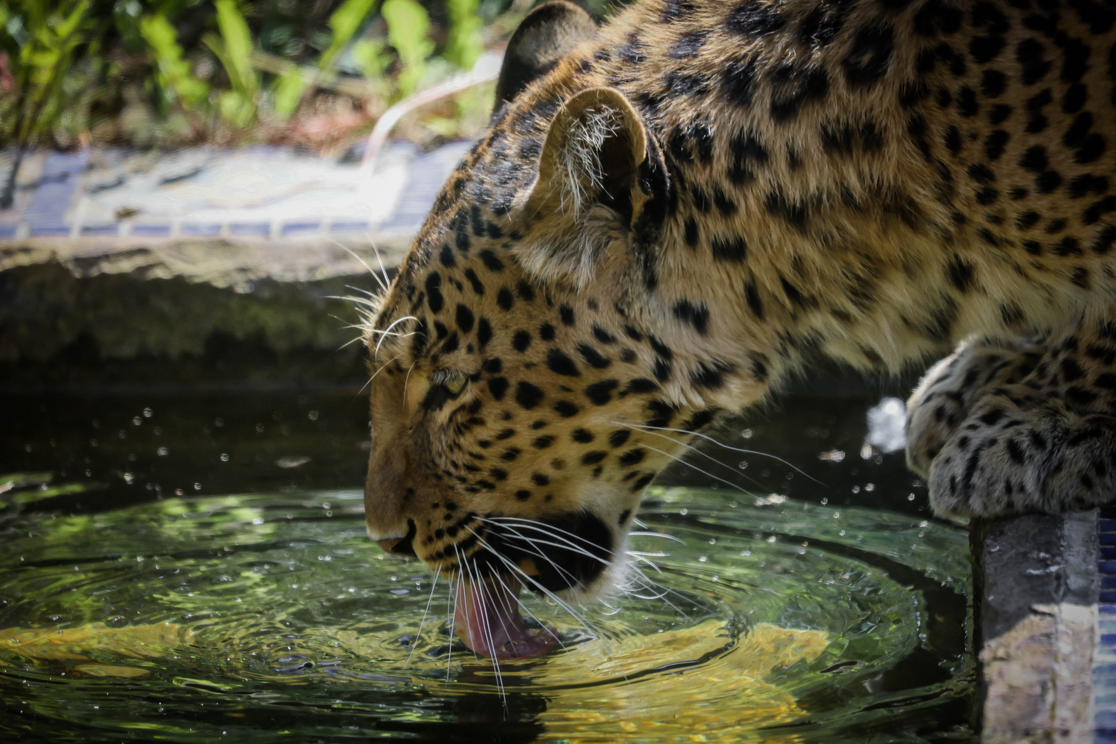 Bei dem Wetter viel trinken 