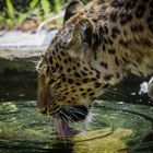 Bei dem Wetter viel trinken 