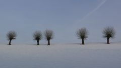 Bei dem Winter stehen einem doch glatt die Haare zu Berge