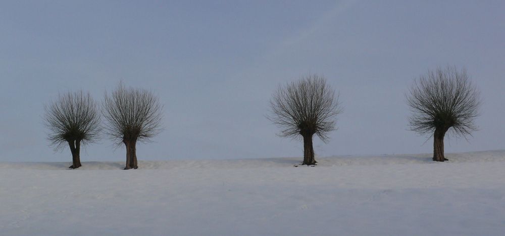 Bei dem Winter stehen einem doch glatt die Haare zu Berge ...