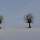 Bei dem Winter stehen einem doch glatt die Haare zu Berge ...