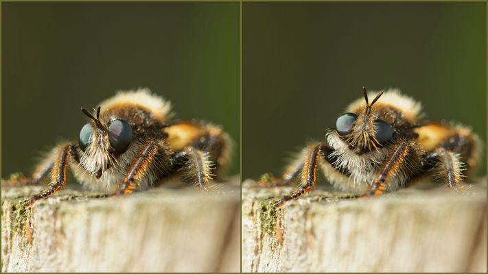 bei den Aufnahmen bitte ruhig sitzen bleiben ! !