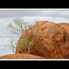 Bei den Devils Marbles 06