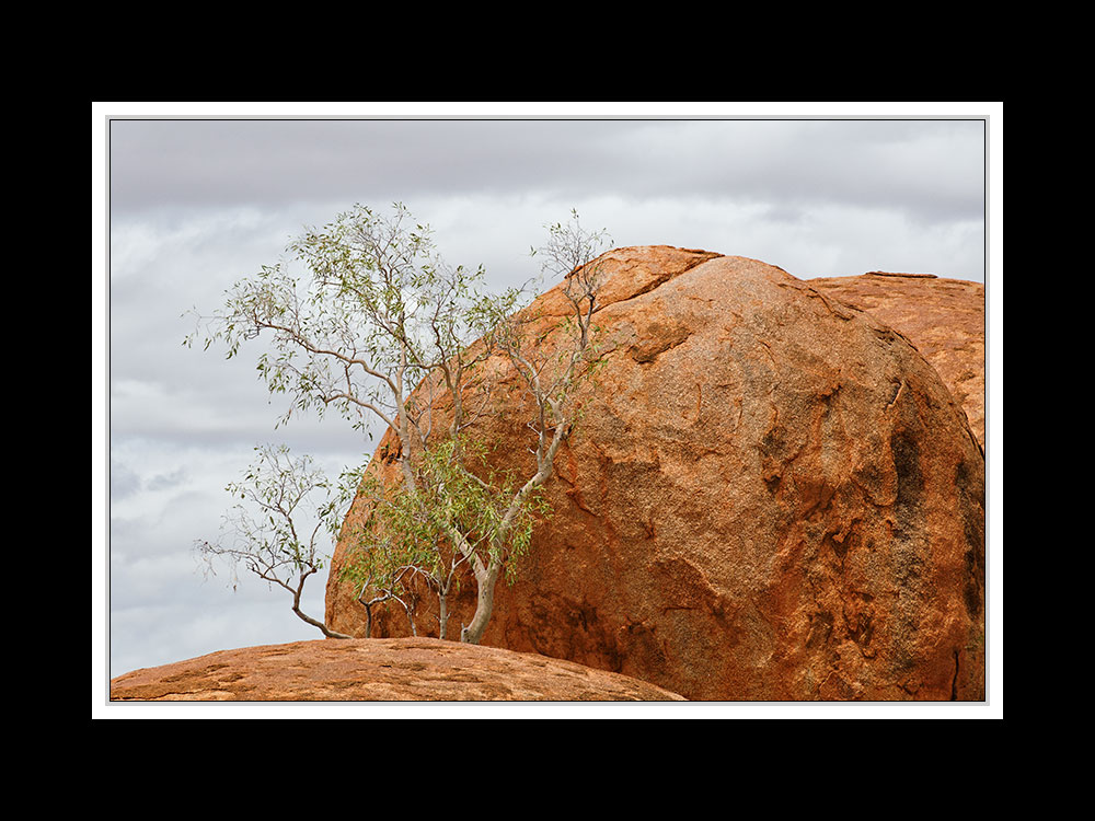 Bei den Devils Marbles 06