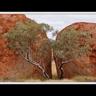 Bei den Devils Marbles 07