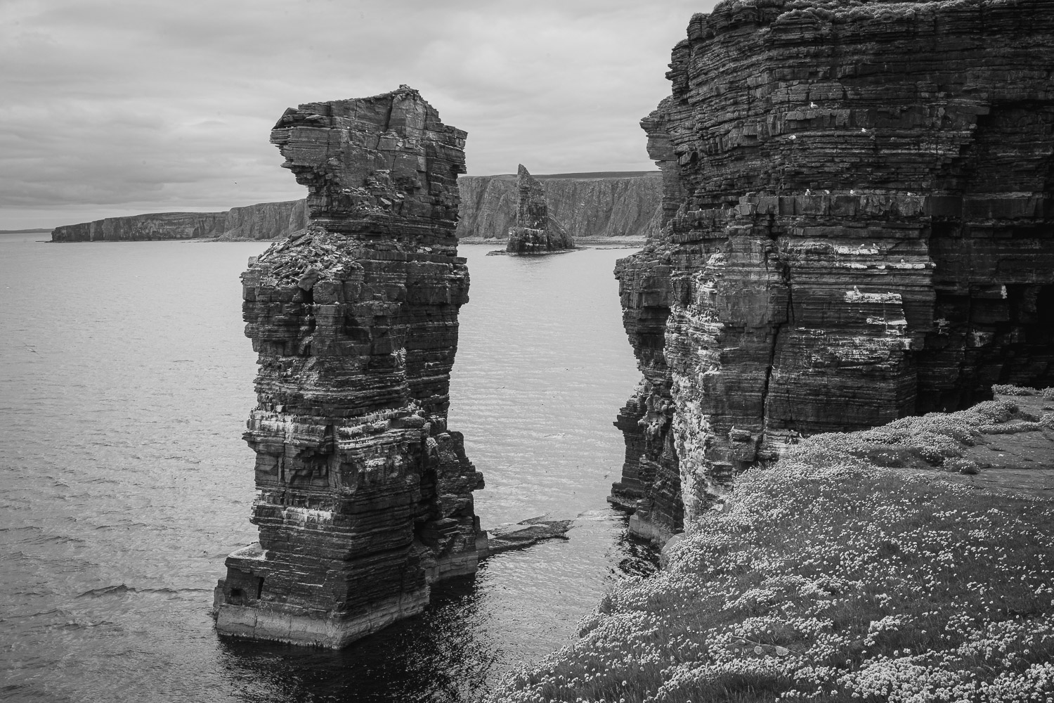 bei den Duncansby Stacks