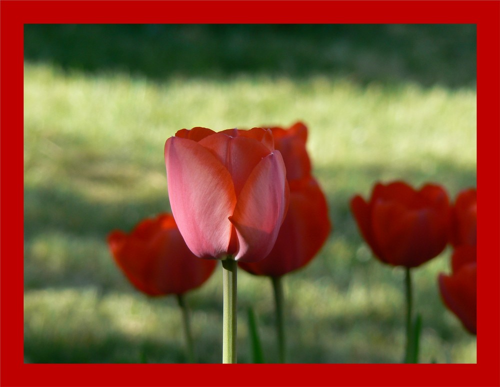 Bei den Großeltern im Garten