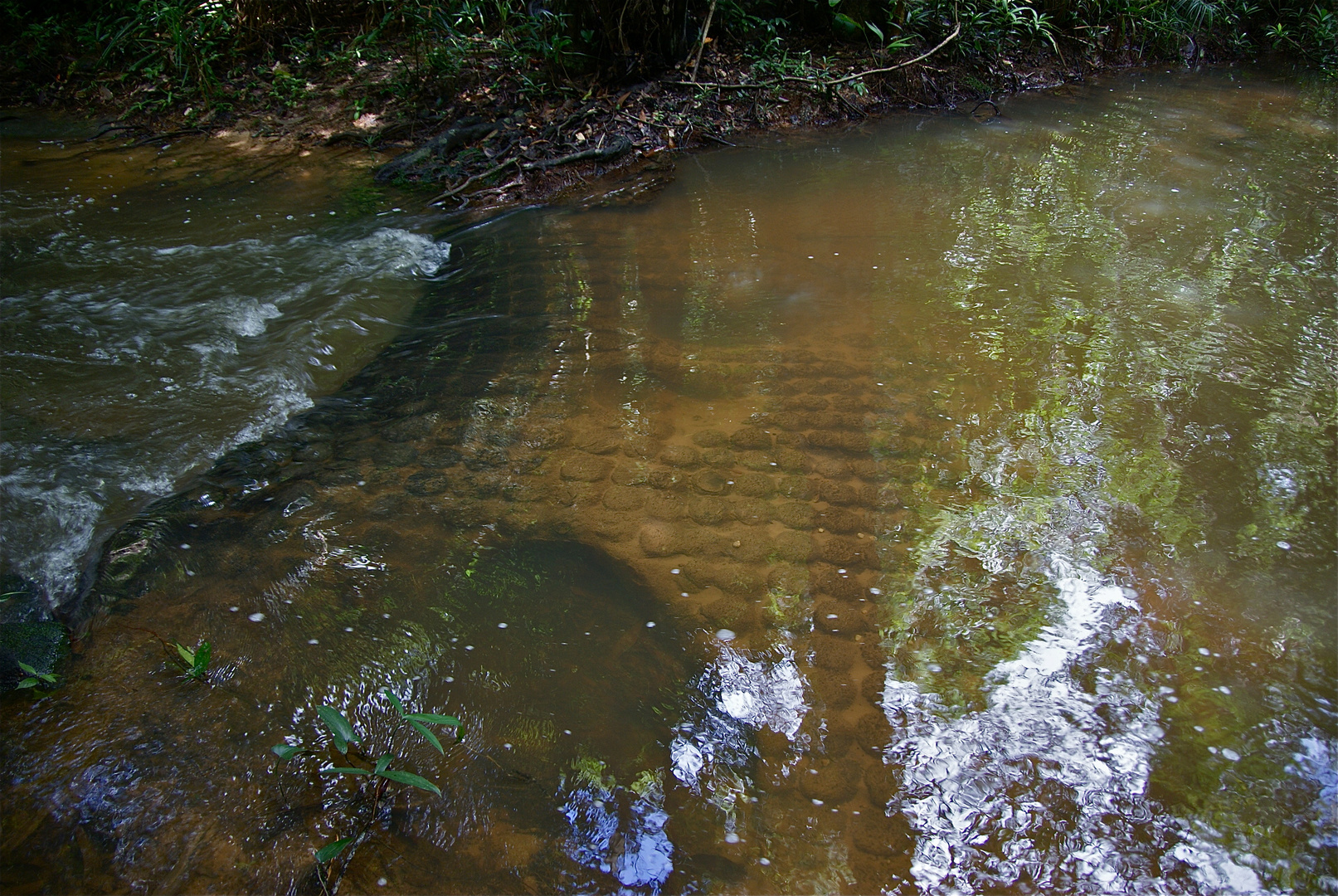 bei den heiligen wassern, cambodia 2010