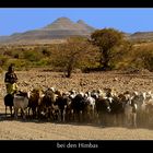 bei den Himbas (06)