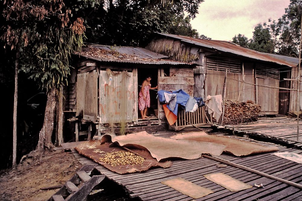 Bei den Iban auf Borneo