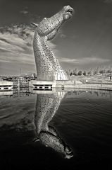 ... bei den Kelpies ...