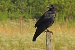 Bei den Kolkraben – Jugendlichen an der Käsmühle 06