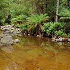 bei den Liffey Falls