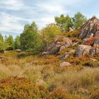 Bei den Lugsteinen - Osterzgebirge