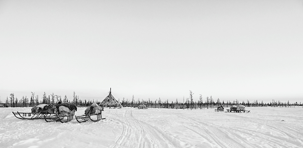 Bei den Nenets in Sibirien