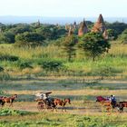 Bei den Pagoden von Bagan