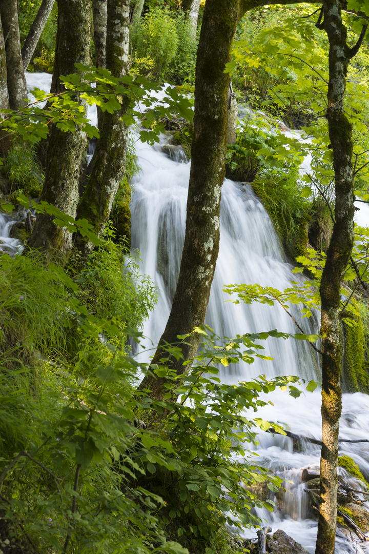 Bei den Plitvicer Seen