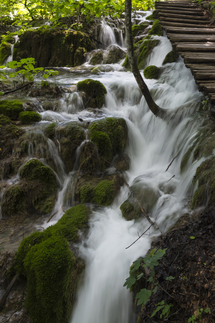 Bei den Plitvicer Seen 3