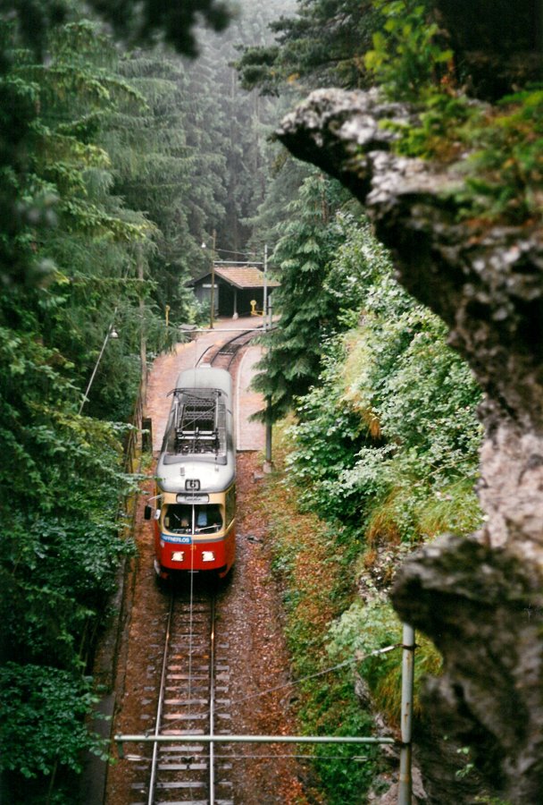 Bei den sieben Zwergen