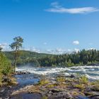 Bei den Storforsen am Piteälven (© Buelipix)