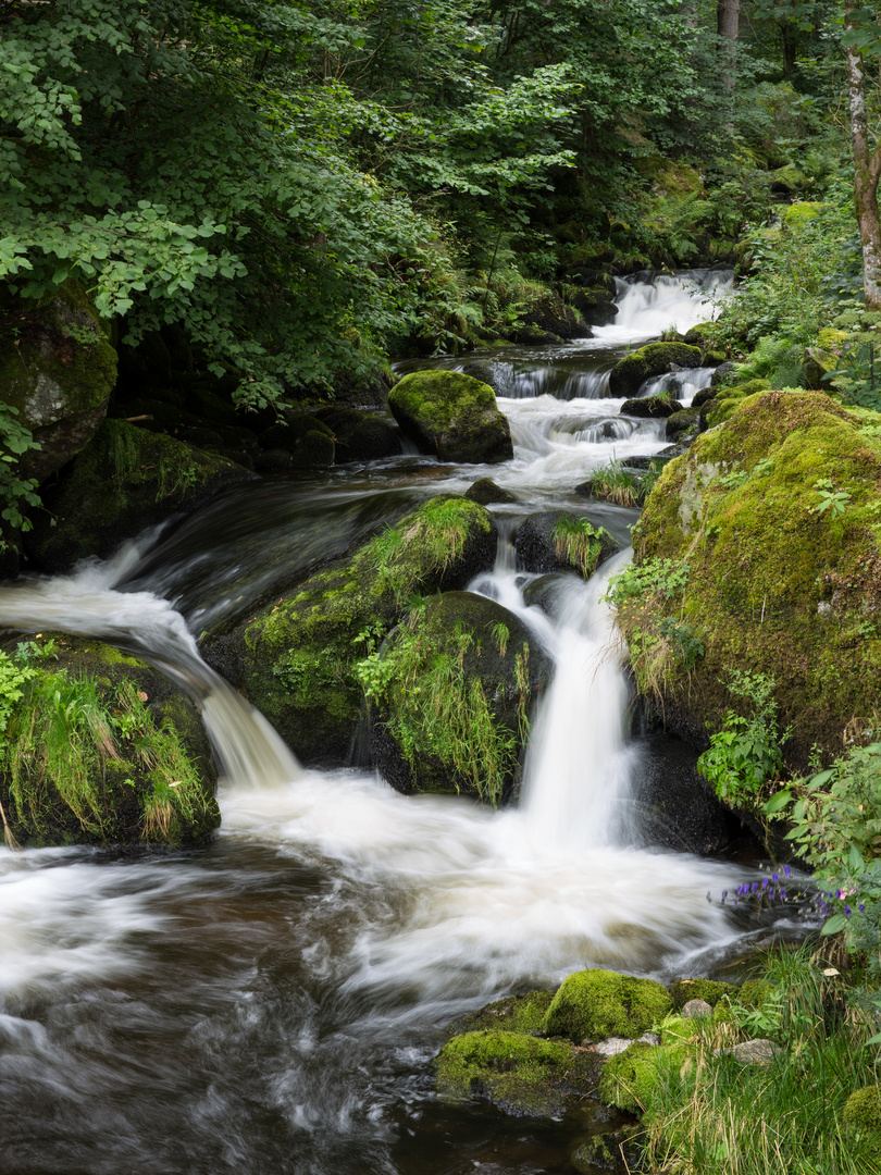 Bei den Triberger Wasserfällen