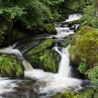 Bei den Triberger Wasserfällen