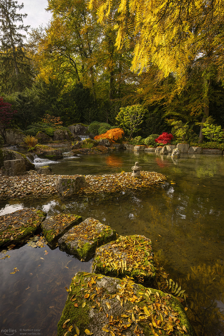 Bei den Wasserfällen im Japangarten