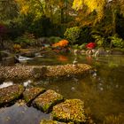 Bei den Wasserfällen im Japangarten