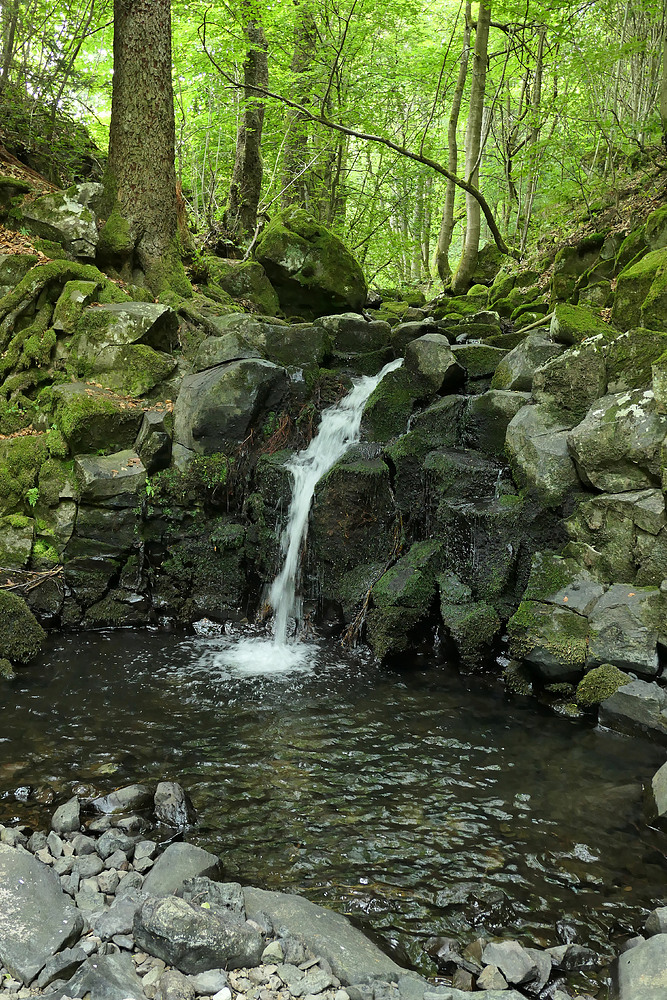 Bei den Wassergeistern im tiefen Wald 01