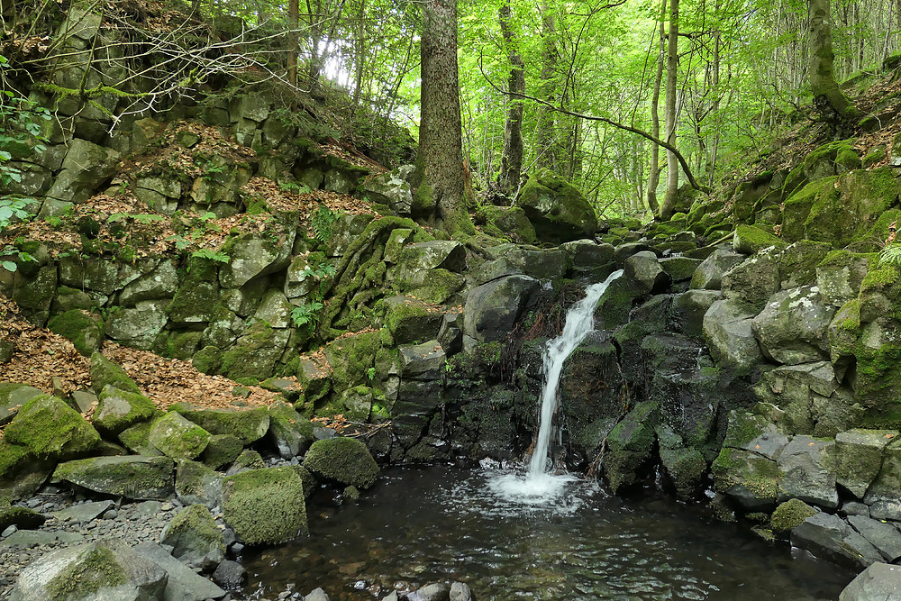 Bei den Wassergeistern im tiefen Wald 04