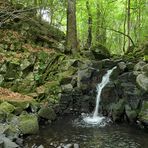 Bei den Wassergeistern im tiefen Wald 04