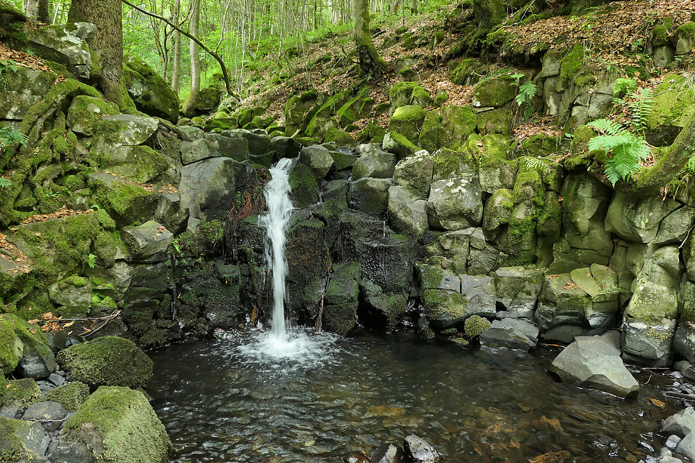 Bei den Wassergeistern im tiefen Wald 09